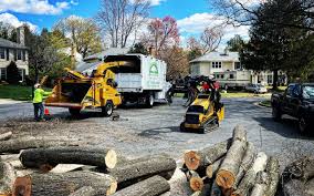Lawn Maintenance Plans in Meadowdale, WA